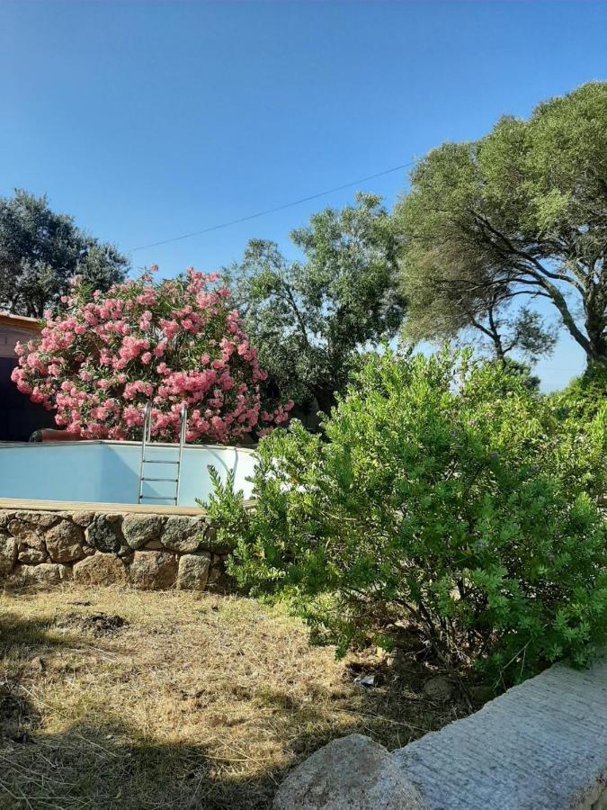 Villa Giuseppina Bonifacio  Eksteriør billede